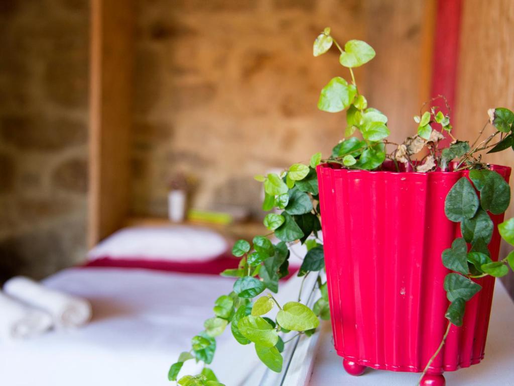 Hotel Laranjalimao Freixo  Zewnętrze zdjęcie